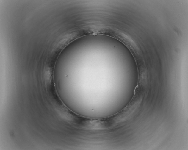 X0000115690121200911121316