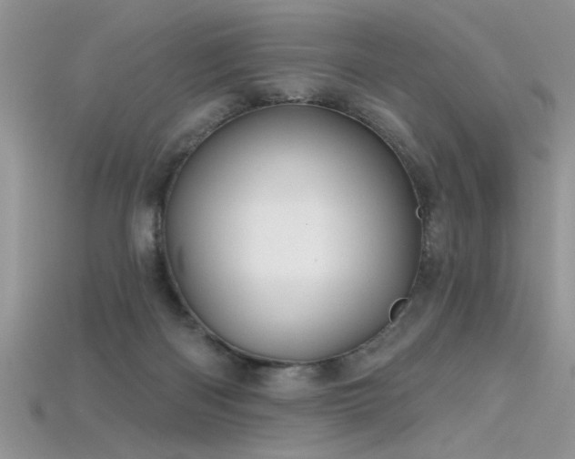 X0000115690122200911121316