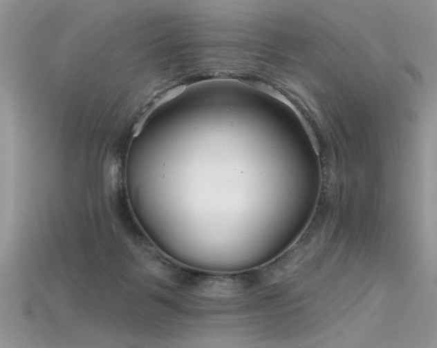 X0000115690123200911121316