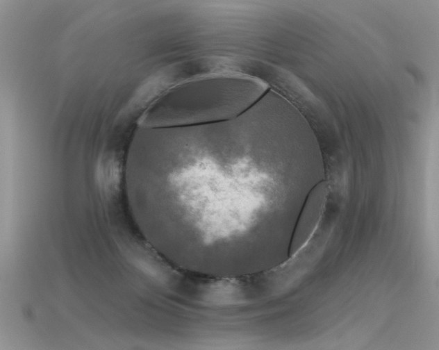 X0000115690124200911121316