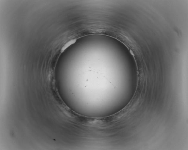 X0000115690125200911121316