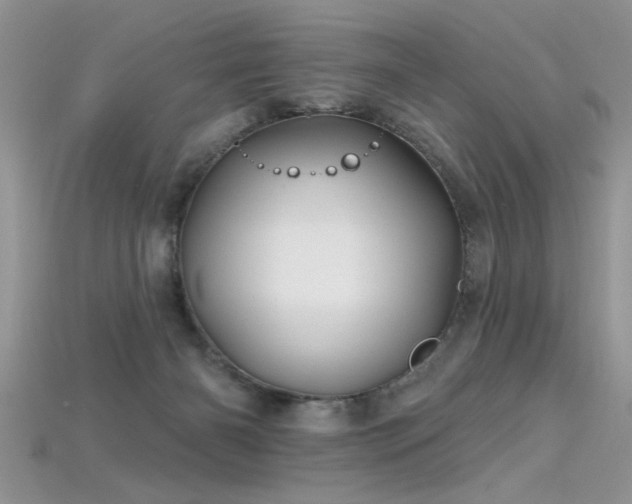 X0000115690126200911121316
