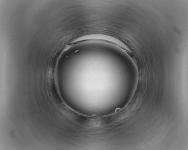 X0000115690127200911121316