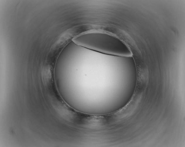 X0000115690128200911121316