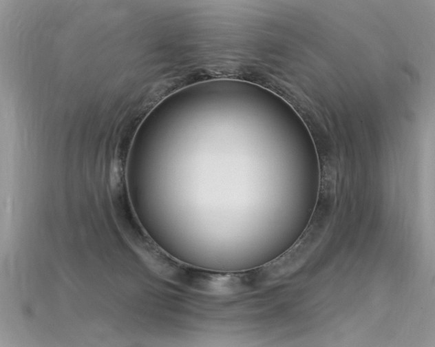 X0000115690130200911121316