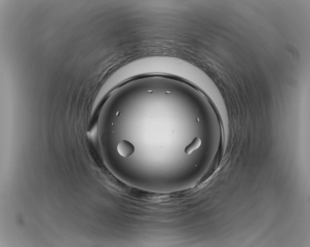 X0000115690132200911121316
