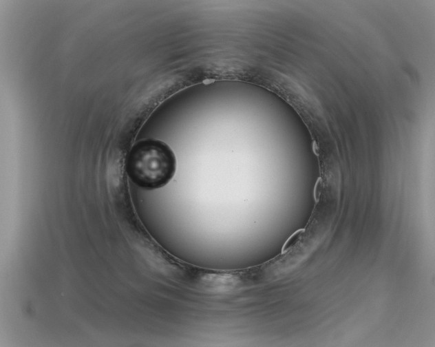 X0000115690133200911121316
