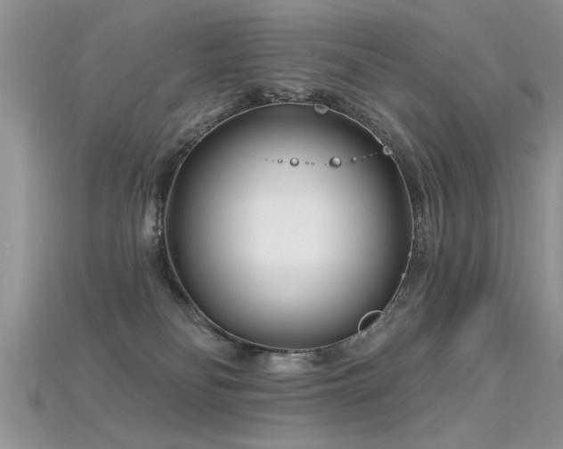 X0000115690134200911121316