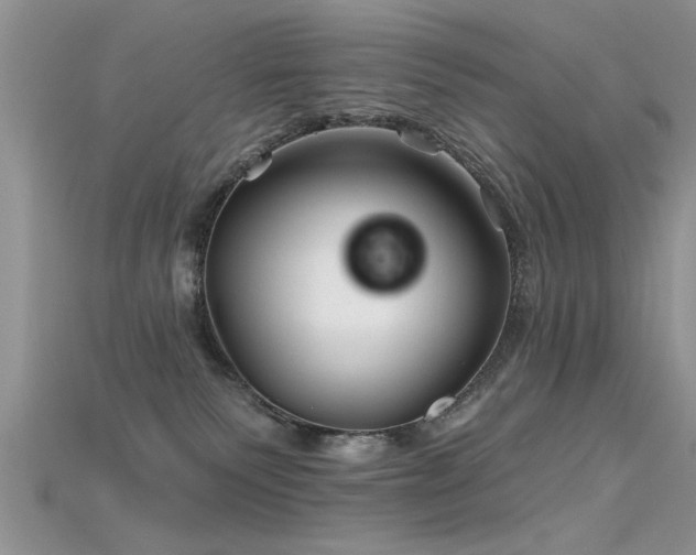 X0000115690135200911121316