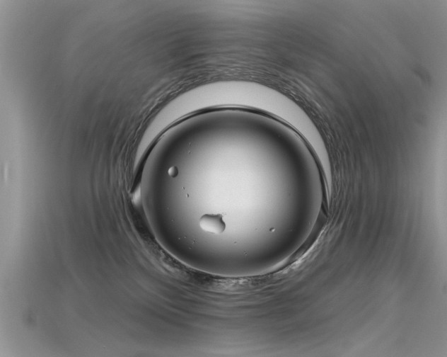 X0000115690136200911121316