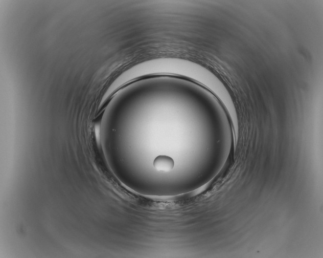 X0000115690137200911121316