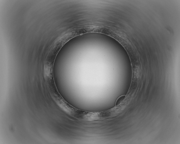 X0000115690138200911121316