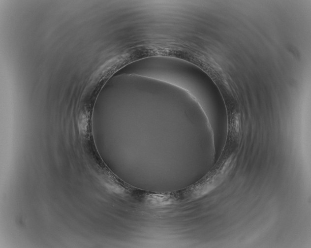 X0000115690139200911121316
