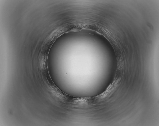 X0000115690140200911121316