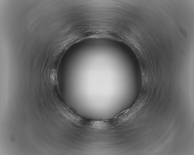 X0000115690141200911121315