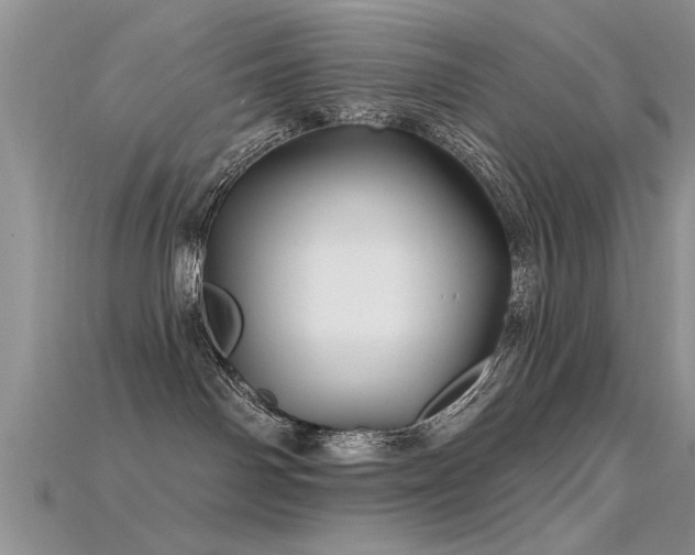 X0000115690142200911121315