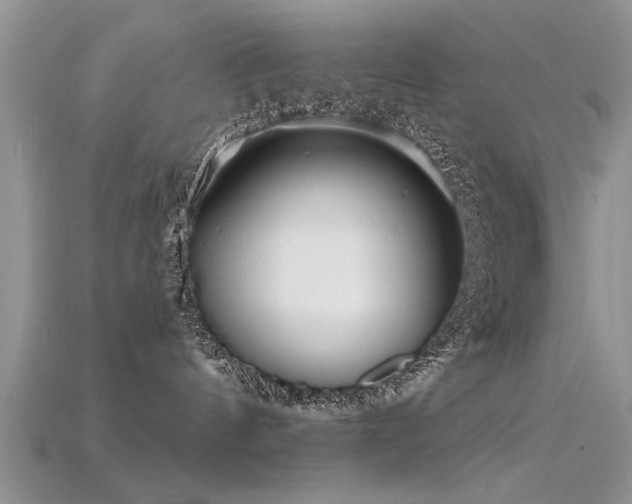 X0000115690144200911121315