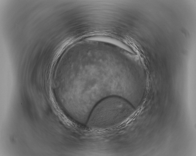 X0000115690145200911121315