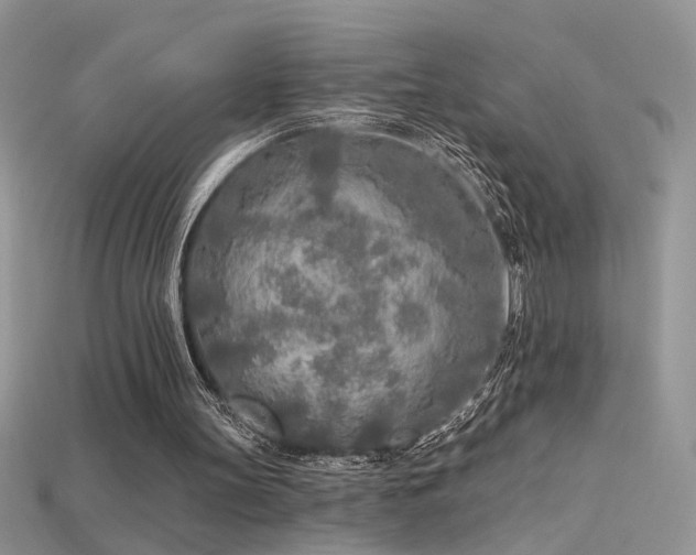 X0000115690147200911121315