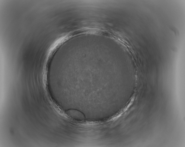 X0000115690149200911121315