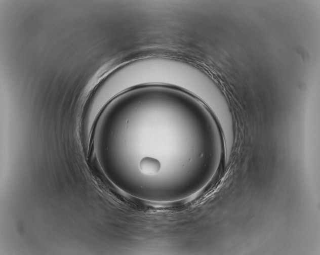 X0000115690150200911121315