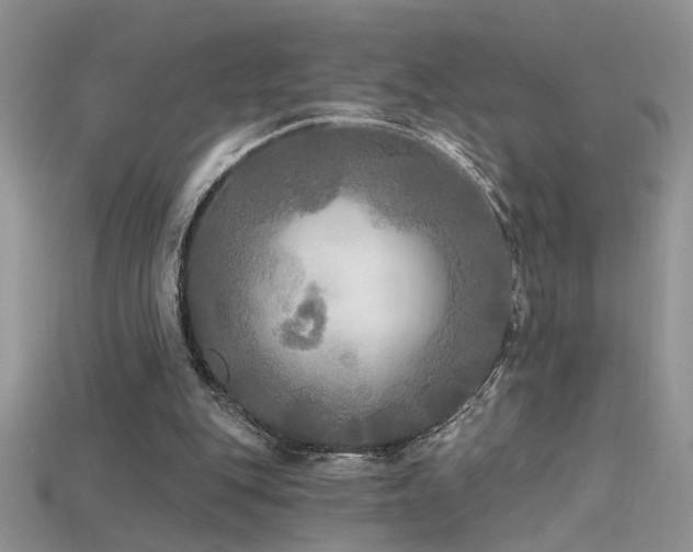 X0000115690151200911121315