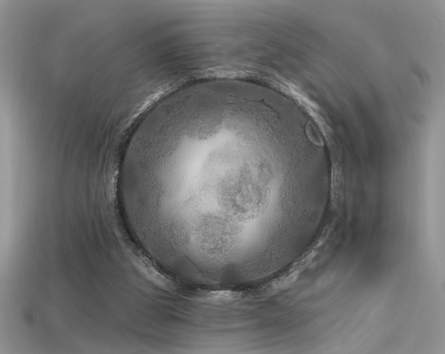 X0000115690153200911121315