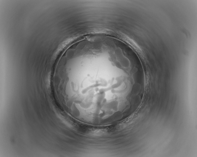 X0000115690155200911121315