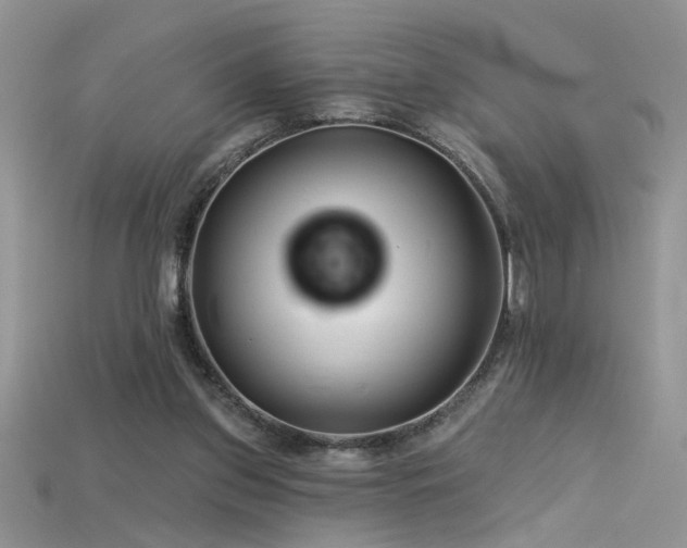 X0000115690157200911121315
