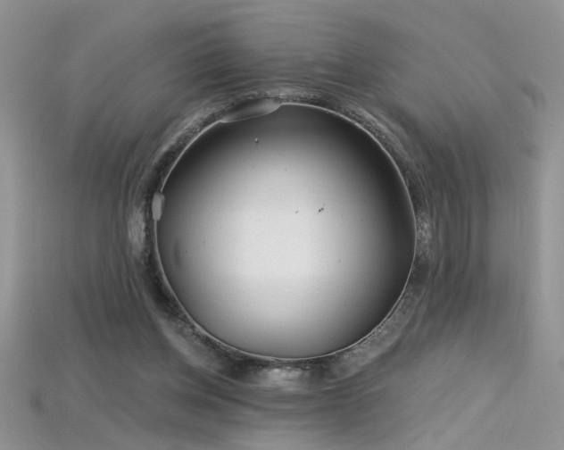 X0000115690158200911121315
