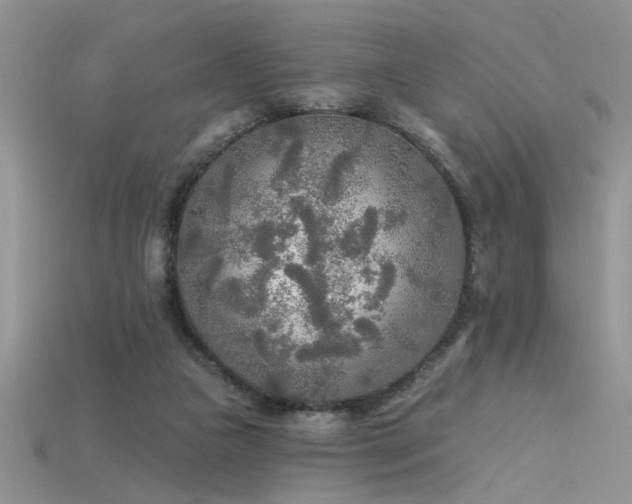 X0000115690161200911121315