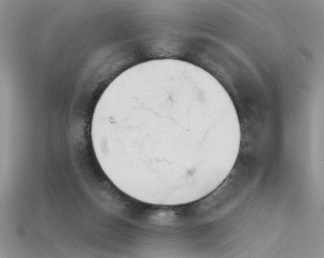 X0000115690162200911121315