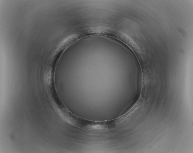 X0000115690163200911121315
