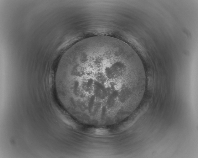 X0000115690165200911121315