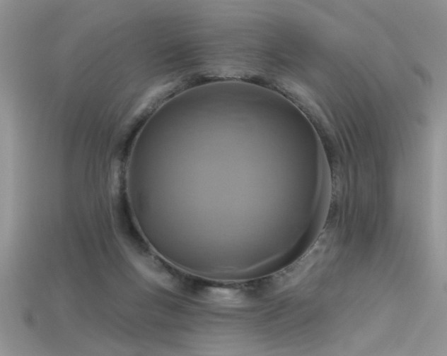 X0000115690167200911121315