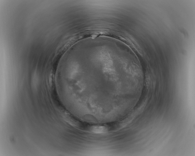 X0000115690169200911121315