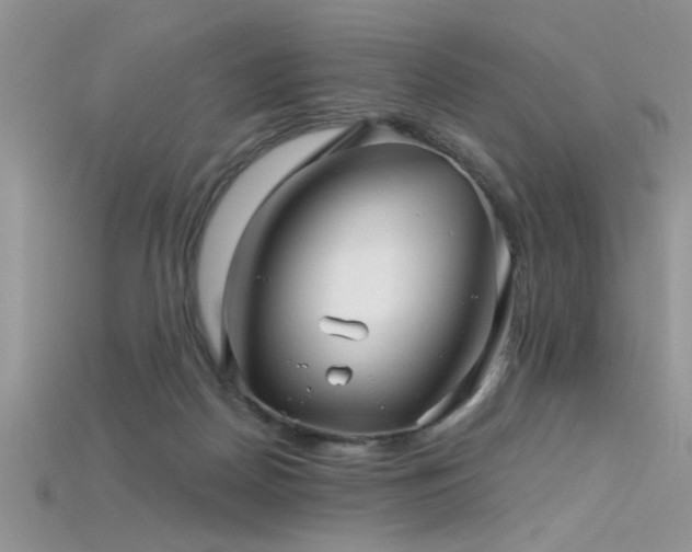 X0000115690170200911121315