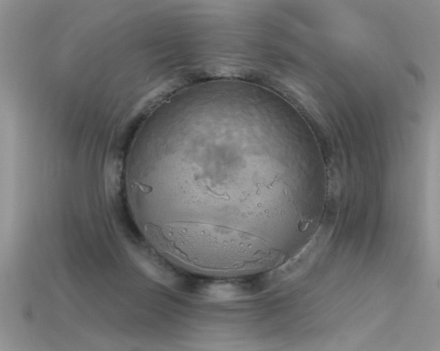X0000115690171200911121315
