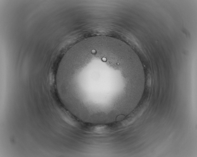 X0000115690173200911121315