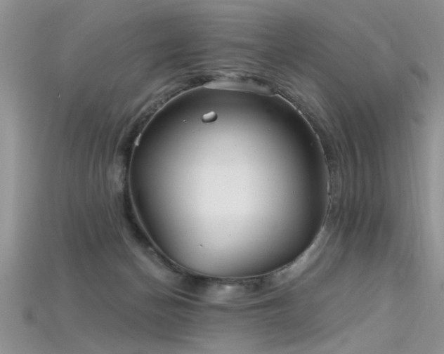 X0000115690174200911121315