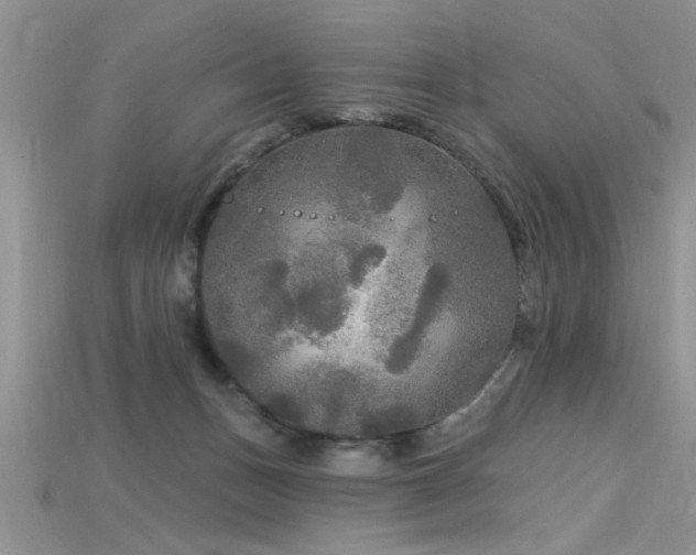 X0000115690175200911121315
