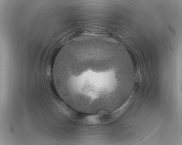 X0000115690178200911121315