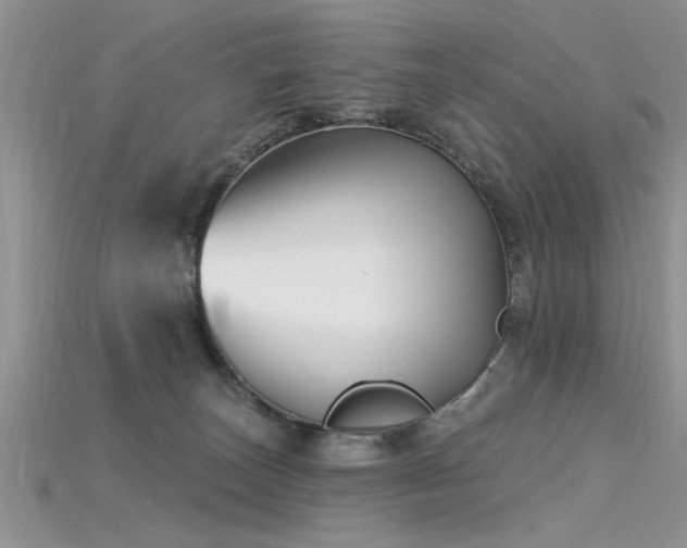 X0000115690179200911121315