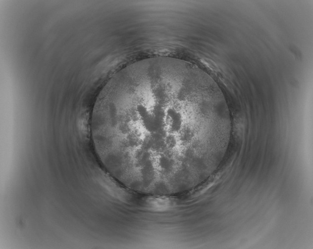 X0000115690181200911121315