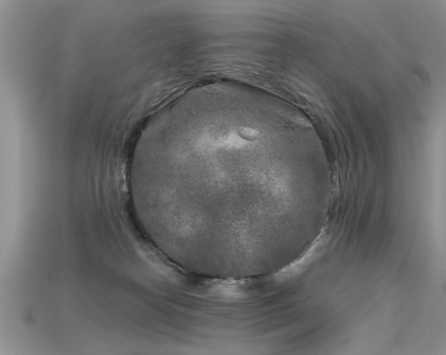 X0000115690182200911121315