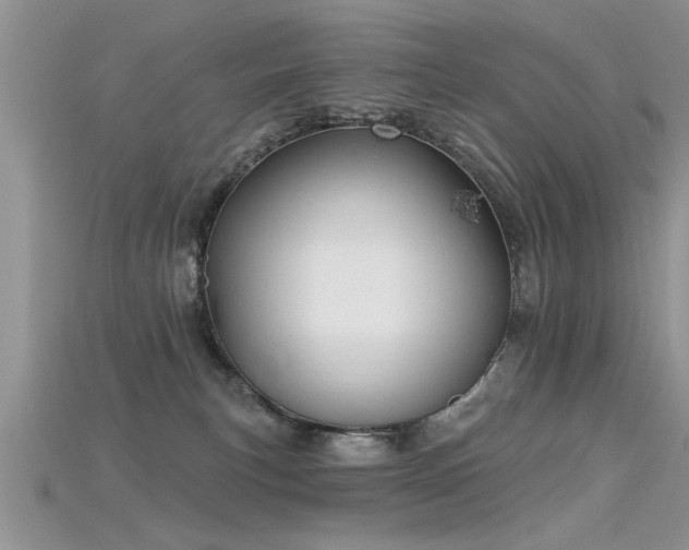 X0000115690183200911121315