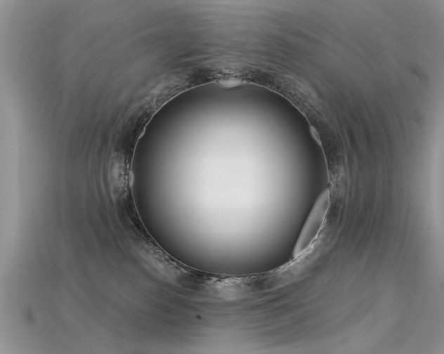 X0000115690186200911121315