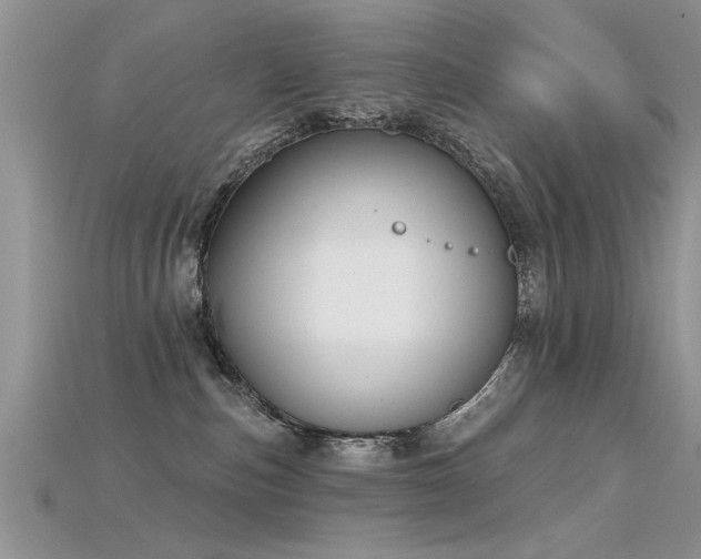X0000115690187200911121315