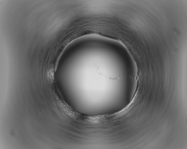 X0000115690190200911121315