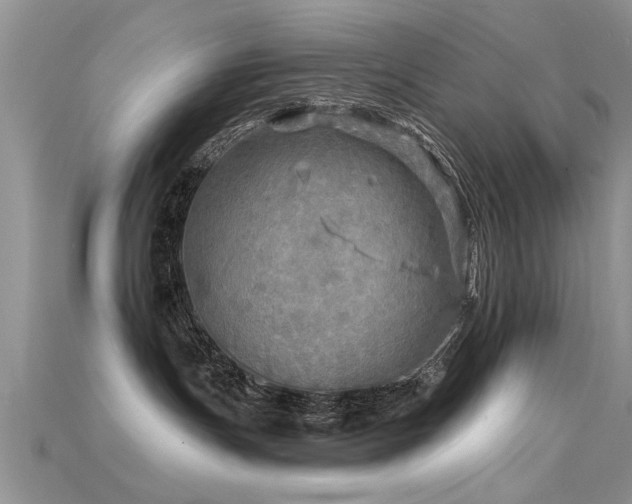 X0000115690191200911121315
